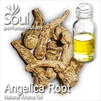 Natural Aroma Oil Angelica Root - 10ml - Click Image to Close
