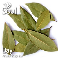 Aroma Soap Bar Bay Leaf - 1kg - Click Image to Close