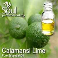 Pure Essential Oil Calamansi Lime - 10ml - Click Image to Close