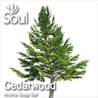Aroma Soap Bar Cedar Wood - 1kg - Click Image to Close