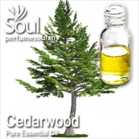 Pure Essential Oil Cedarwood - 10ml - Click Image to Close