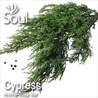 Aroma Soap Bar Cypress - 1kg - Click Image to Close