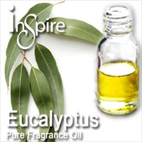Fragrance Eucalyptus - 10ml - Click Image to Close