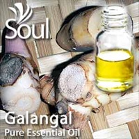Pure Essential Oil Galangal - 10ml - Click Image to Close