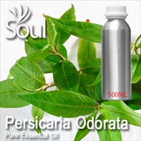 Pure Essential Oil Persicaria Odorata - 500ml - Click Image to Close