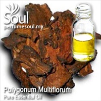 Pure Essential Oil Polygonum Multiflorum - 50ml