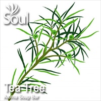 Aroma Soap Bar Tea Tree - 500g - Click Image to Close