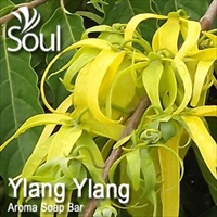 Aroma Soap Bar Ylang Ylang - 500g - Click Image to Close