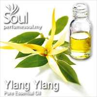 Pure Essential Oil Ylang Ylang - 50ml - Click Image to Close
